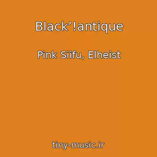 کاور آهنگ Black’!antique از Pink Siifu, Elheist