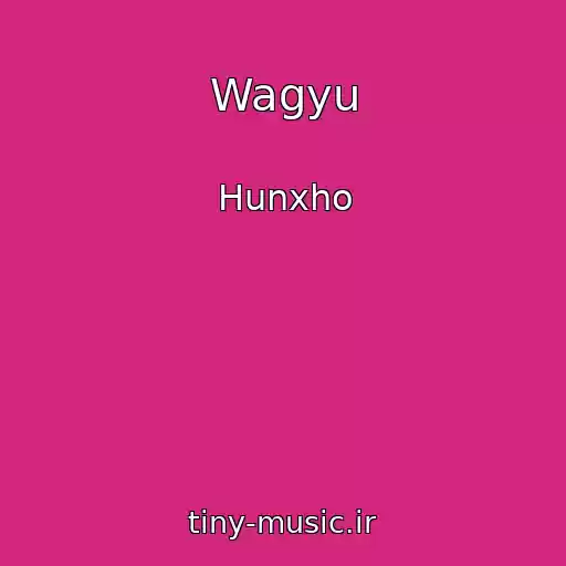 کاور آهنگ Wagyu از Hunxho