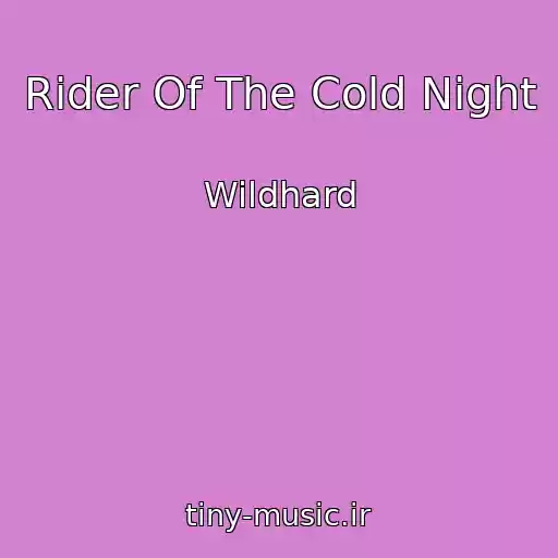 کاور آهنگ Rider Of The Cold Night از Wildhard