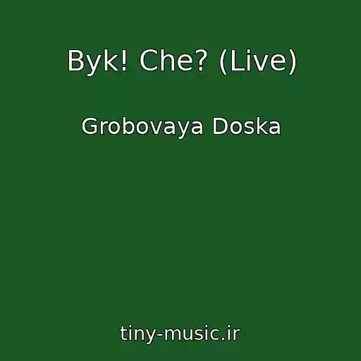 کاور آهنگ Byk! Che? (Live) از Grobovaya Doska