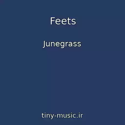 کاور آهنگ Feets از Junegrass