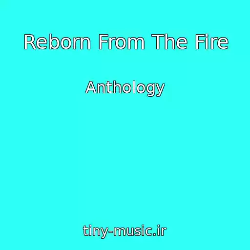 کاور آهنگ Reborn From The Fire از Anthology