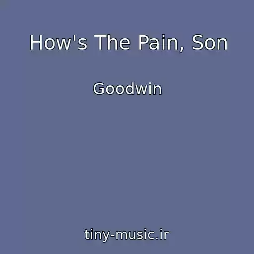 کاور آهنگ How's The Pain, Son از Goodwin