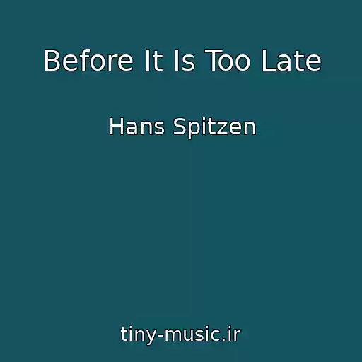 کاور آهنگ Before It Is Too Late از Hans Spitzen