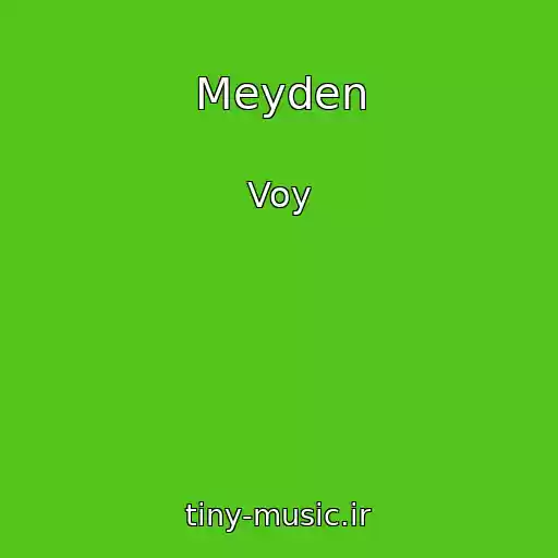 کاور آهنگ Meyden از Voy