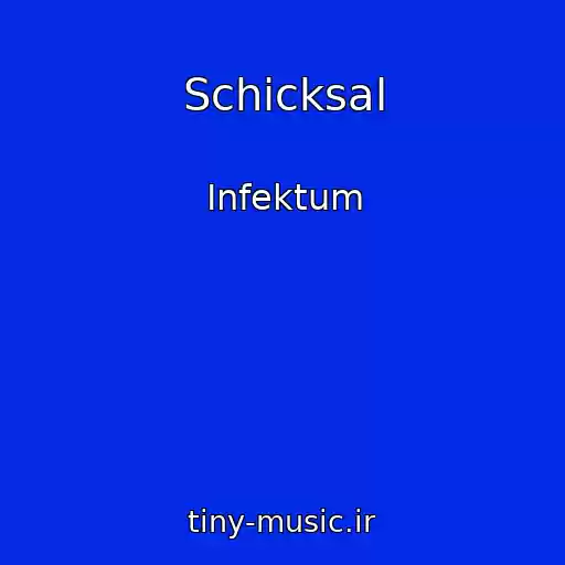 کاور آهنگ Schicksal از Infektum