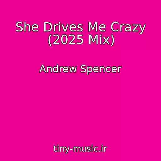 کاور آهنگ She Drives Me Crazy (2025 Mix) از Andrew Spencer