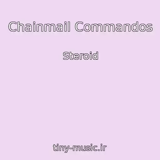 کاور آهنگ Chainmail Commandos از Steroid