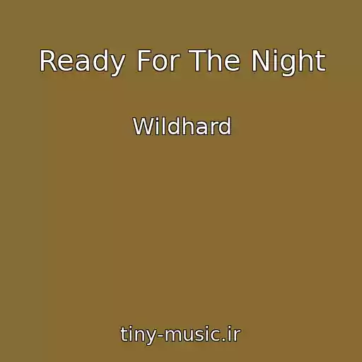 کاور آهنگ Ready For The Night از Wildhard