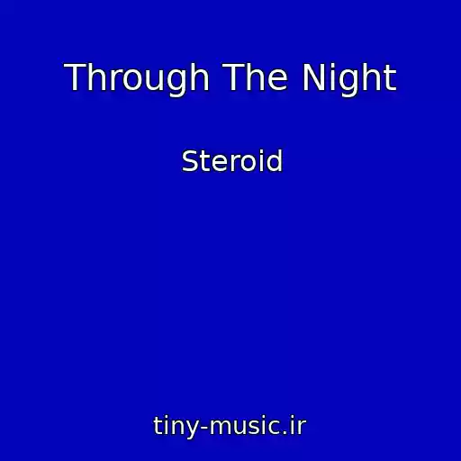 کاور آهنگ Through The Night از Steroid