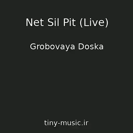 کاور آهنگ Net Sil Pit (Live) از Grobovaya Doska