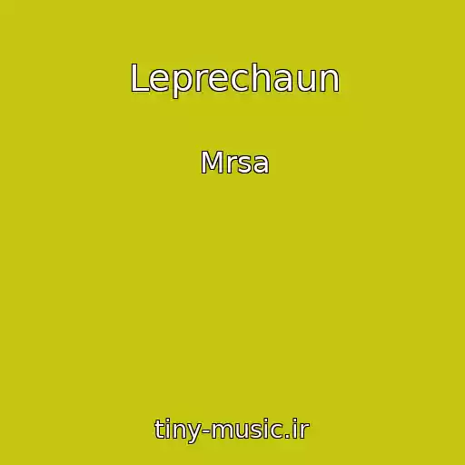 کاور آهنگ Leprechaun از Mrsa