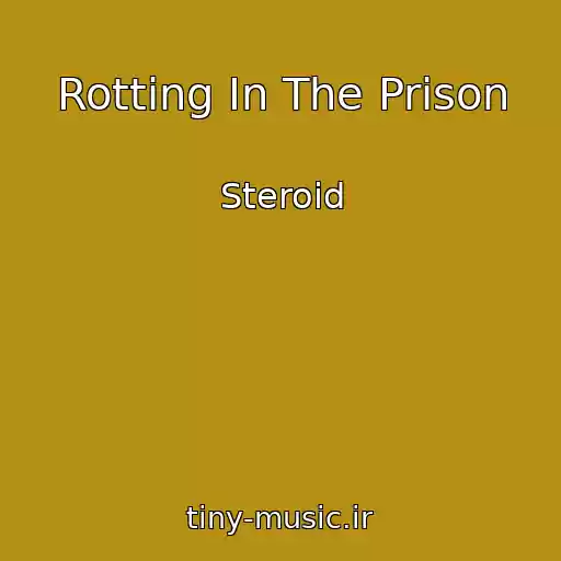 کاور آهنگ Rotting In The Prison از Steroid