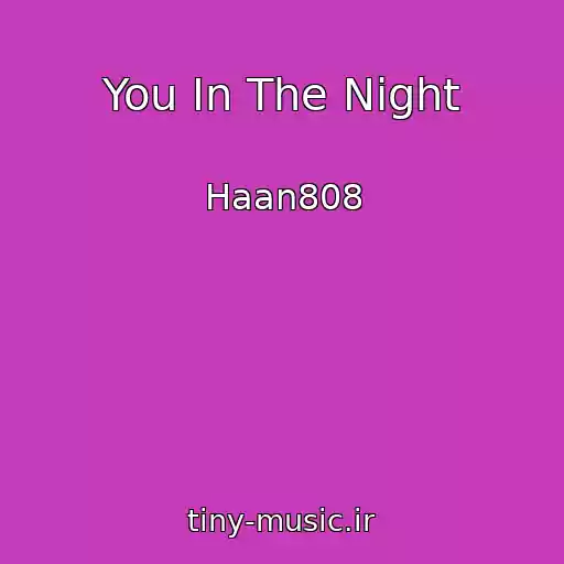 کاور آهنگ You In The Night از Haan808