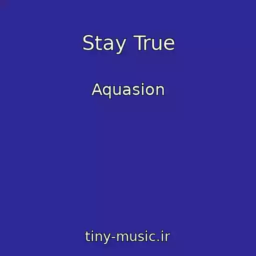 کاور آهنگ Stay True از Aquasion