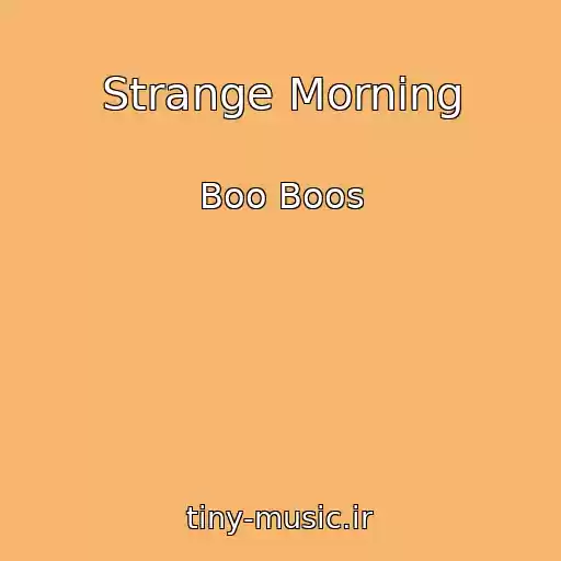 کاور آهنگ Strange Morning از Boo Boos