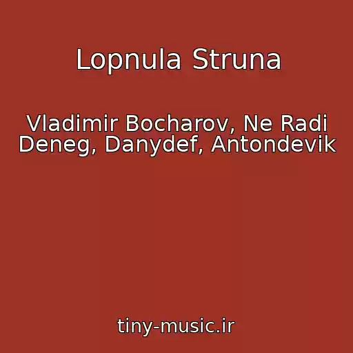 کاور آهنگ Lopnula Struna از Vladimir Bocharov, Ne Radi Deneg, Danydef, Antondevik