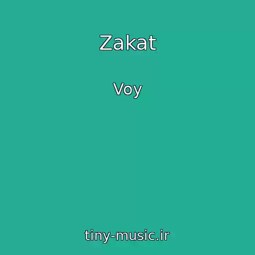 کاور آهنگ Zakat از Voy