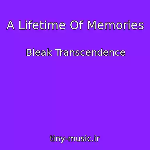 کاور آهنگ A Lifetime Of Memories از Bleak Transcendence