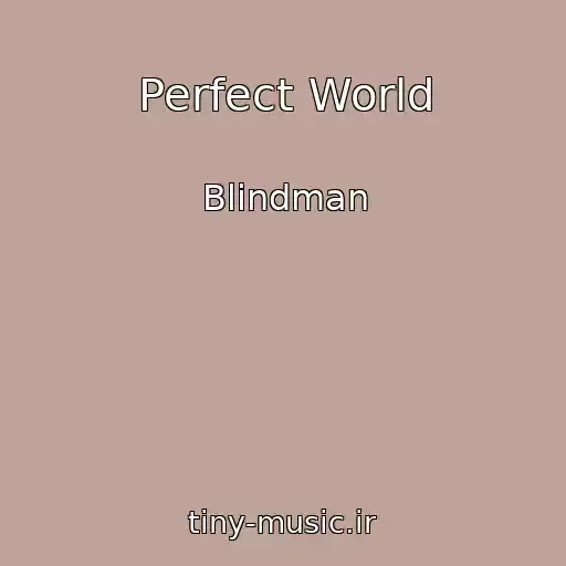 کاور آهنگ Perfect World از Blindman