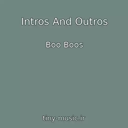 کاور آهنگ Intros And Outros از Boo Boos