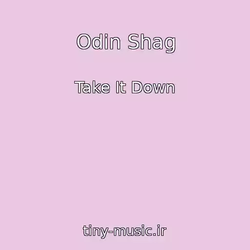 کاور آهنگ Odin Shag از Take It Down