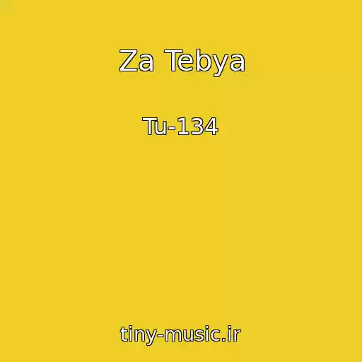 کاور آهنگ Za Tebya از Tu-134