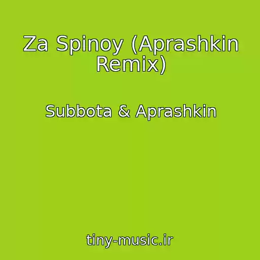 کاور آهنگ Za Spinoy (Aprashkin Remix) از Subbota & Aprashkin