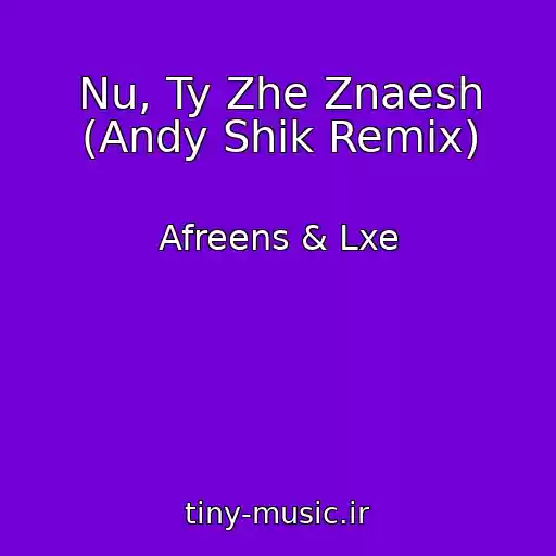 کاور آهنگ Nu, Ty Zhe Znaesh (Andy Shik Remix) از Afreens & Lxe