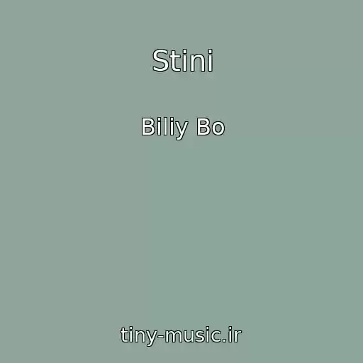 کاور آهنگ Stіni از Bіliy Bo
