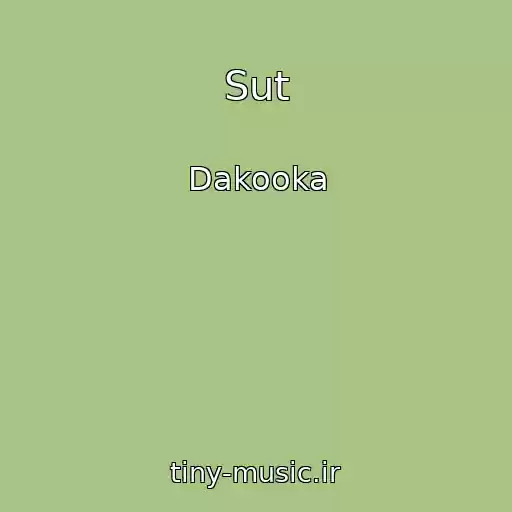 کاور آهنگ Sut از Dakooka