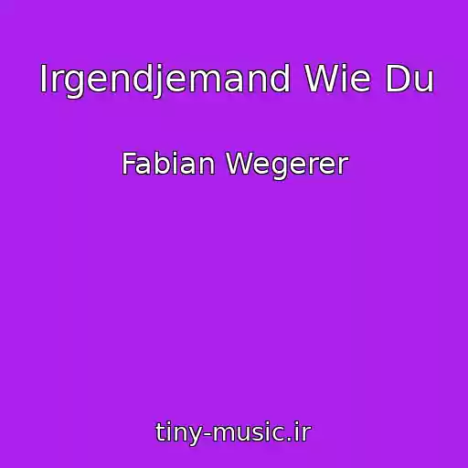 کاور آهنگ Irgendjemand Wie Du از Fabian Wegerer