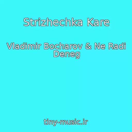 کاور آهنگ Strizhechka Kare از Vladimir Bocharov & Ne Radi Deneg