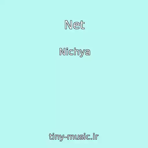 کاور آهنگ Net از Nichya