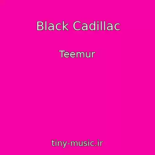 کاور آهنگ Black Cadillac از Teemur