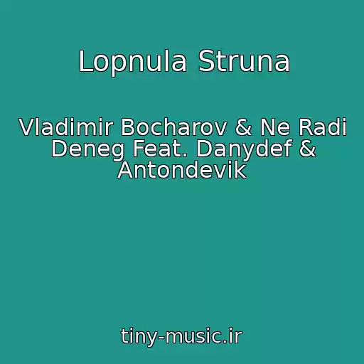 کاور آهنگ Lopnula Struna از Vladimir Bocharov & Ne Radi Deneg Feat. Danydef & Antondevik