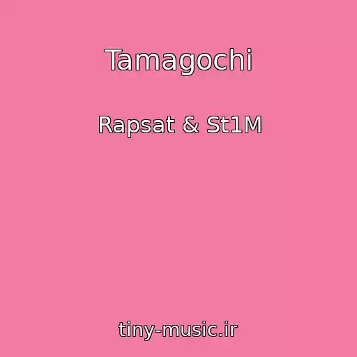 کاور آهنگ Tamagochi از Rapsat & St1M