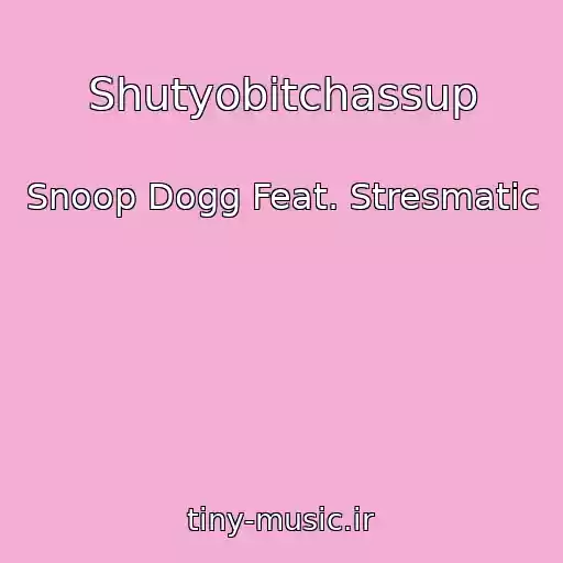 کاور آهنگ Shutyobitchassup از Snoop Dogg Feat. Stresmatic
