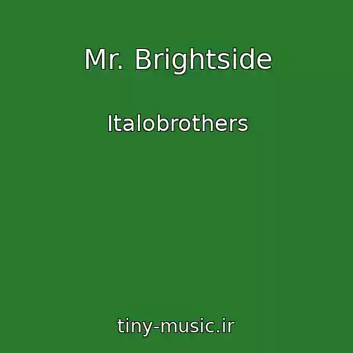 کاور آهنگ Mr. Brightside از Italobrothers