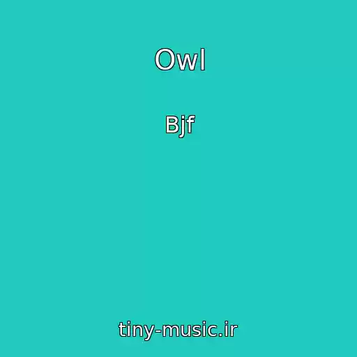 کاور آهنگ Owl از Bjf