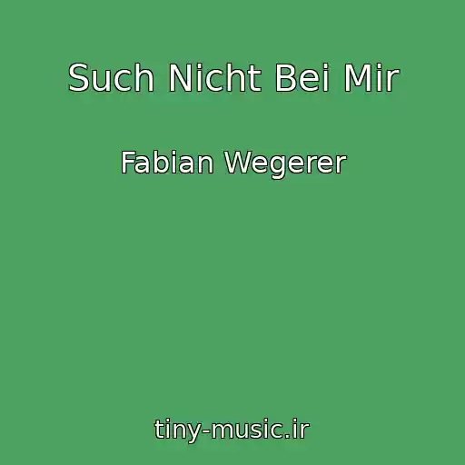 کاور آهنگ Such Nicht Bei Mir از Fabian Wegerer