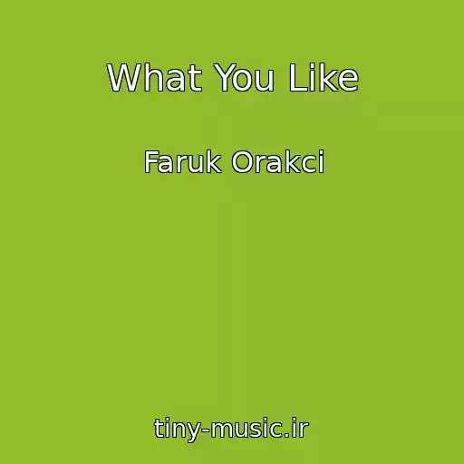 کاور آهنگ What You Like از Faruk Orakci