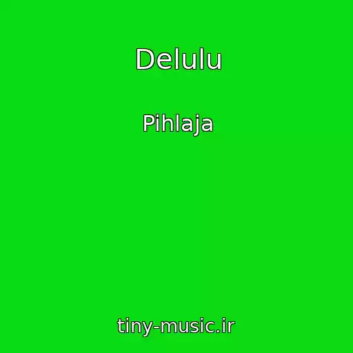 کاور آهنگ Delulu از Pihlaja