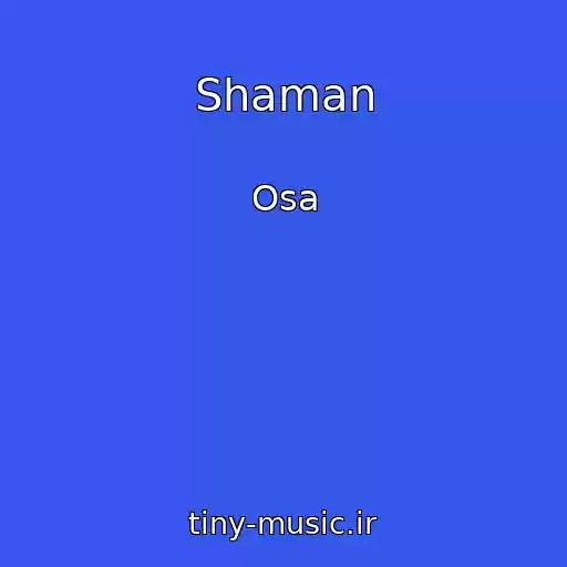 کاور آهنگ Shaman از Osa