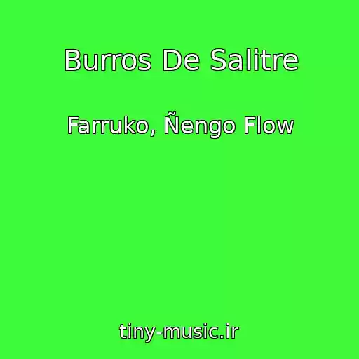 کاور آهنگ Burros De Salitre از Farruko, Ñengo Flow