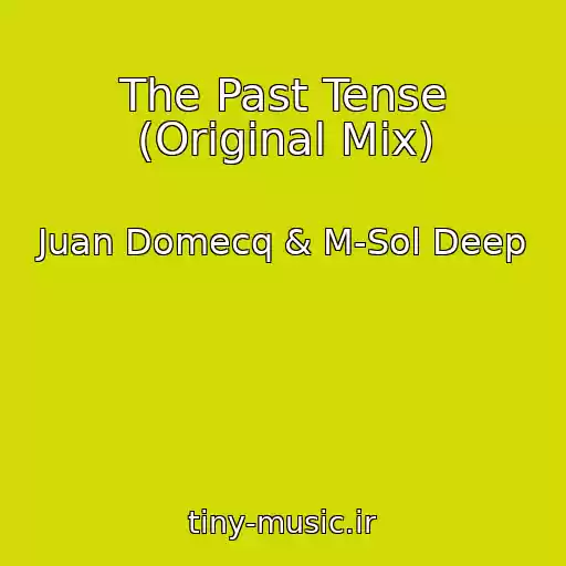 کاور آهنگ The Past Tense (Original Mix) از Juan Domecq & M-Sol Deep