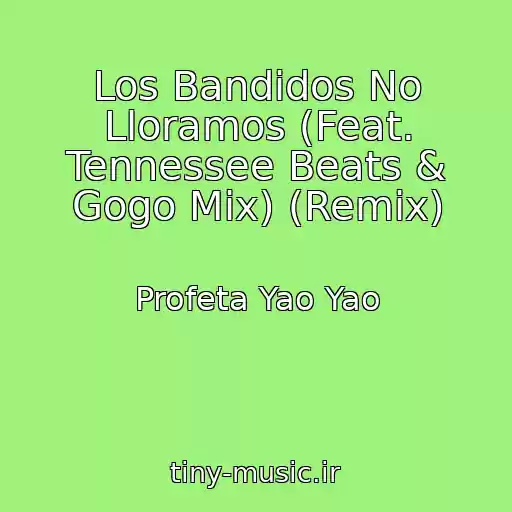 کاور آهنگ Los Bandidos No Lloramos (Feat. Tennessee Beats & Gogo Mix) (Remix) از Profeta Yao Yao