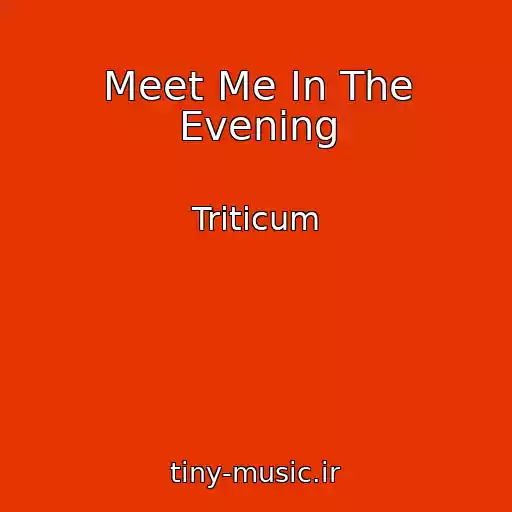 کاور آهنگ Meet Me In The Evening از Triticum