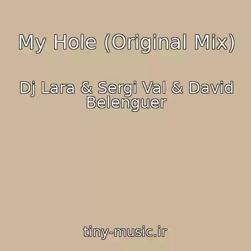 کاور آهنگ My Hole (Original Mix) از Dj Lara & Sergi Val & David Belenguer