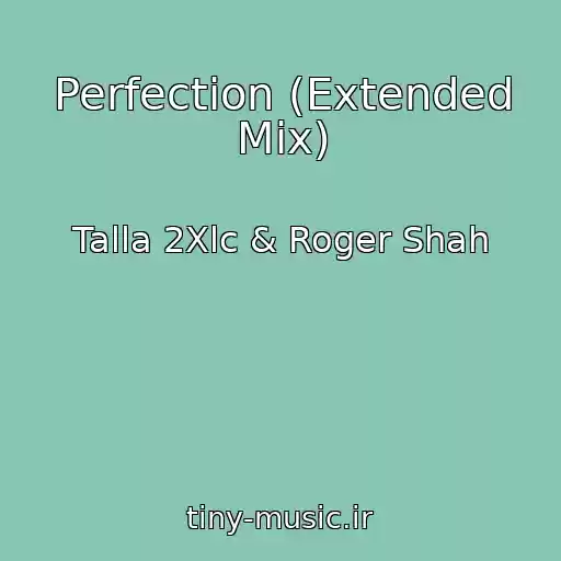 کاور آهنگ Perfection (Extended Mix) از Talla 2Xlc & Roger Shah